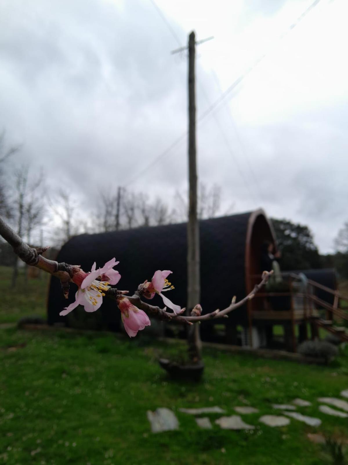 Quinta Da Devesa B1 Lägenhet Vinhais Exteriör bild